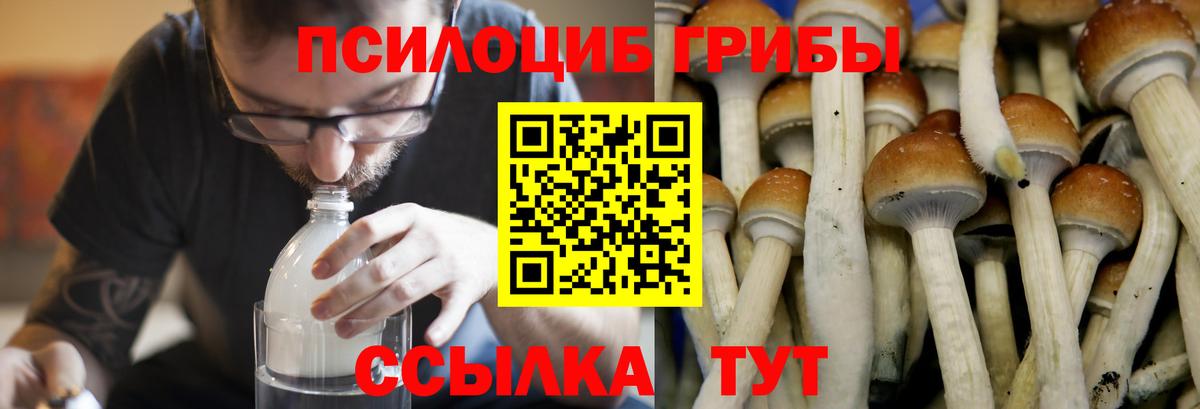 купить закладку  Вход с VPN  Старая Купавна  Псилоцибиновые грибы MAGIC MUSHROOMS 